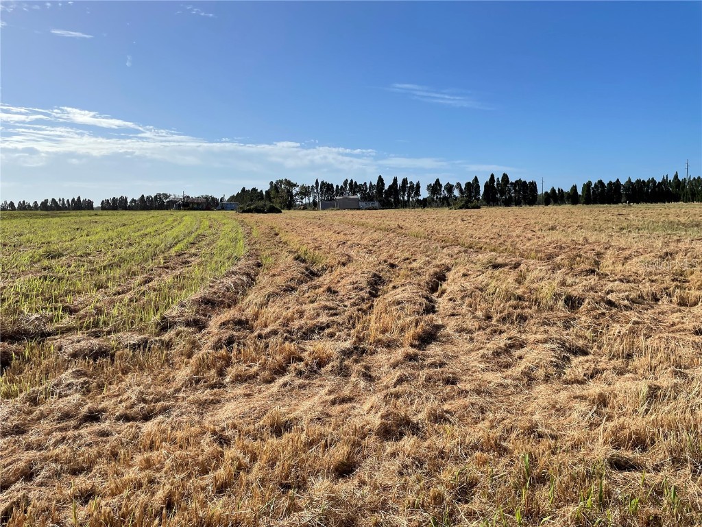 701 E 60 Highway Plant City FL 33567 L4952200 image97