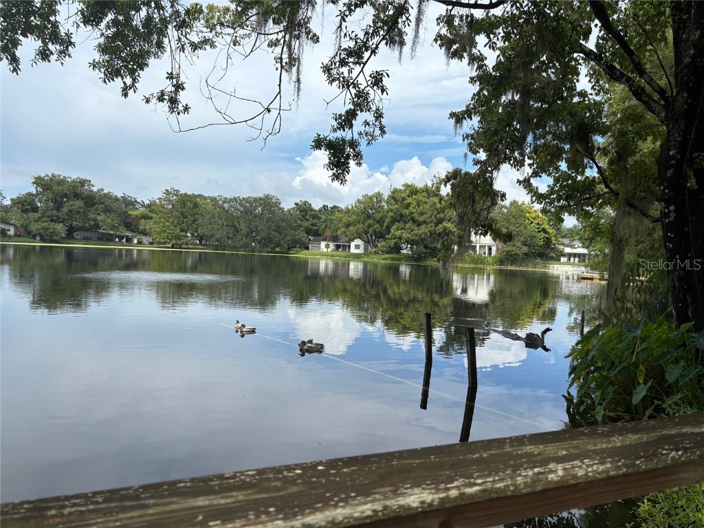 701 E South Street Orlando FL 32801 O6332121 image53