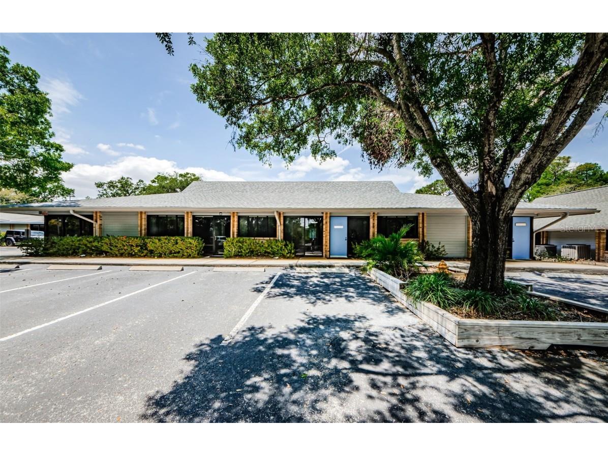 701 Enterprise Road E #300 Safety Harbor FL 34695 TB8380432 image21