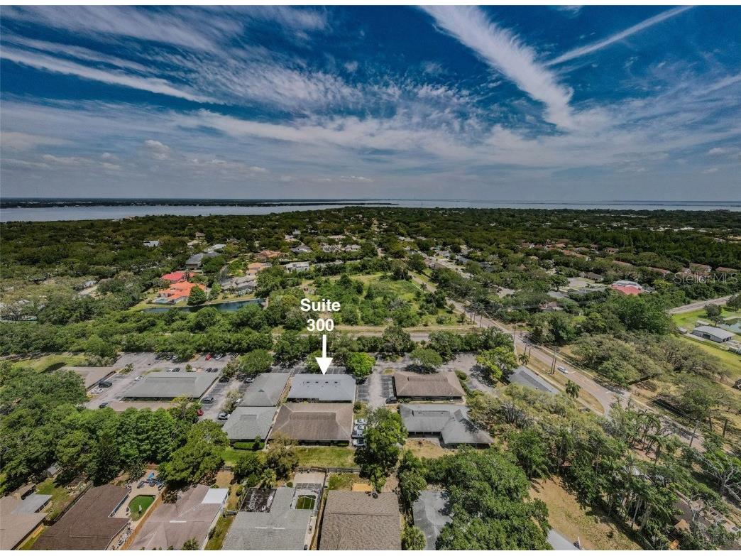 701 Enterprise Road E #300 Safety Harbor FL 34695 TB8380432 image23