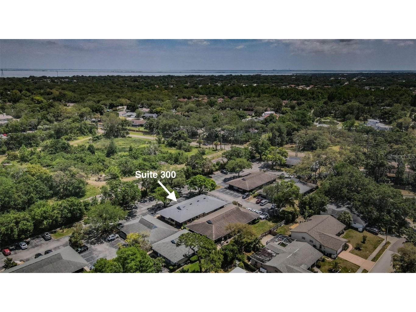 701 Enterprise Road E #300 Safety Harbor FL 34695 TB8380432 image24