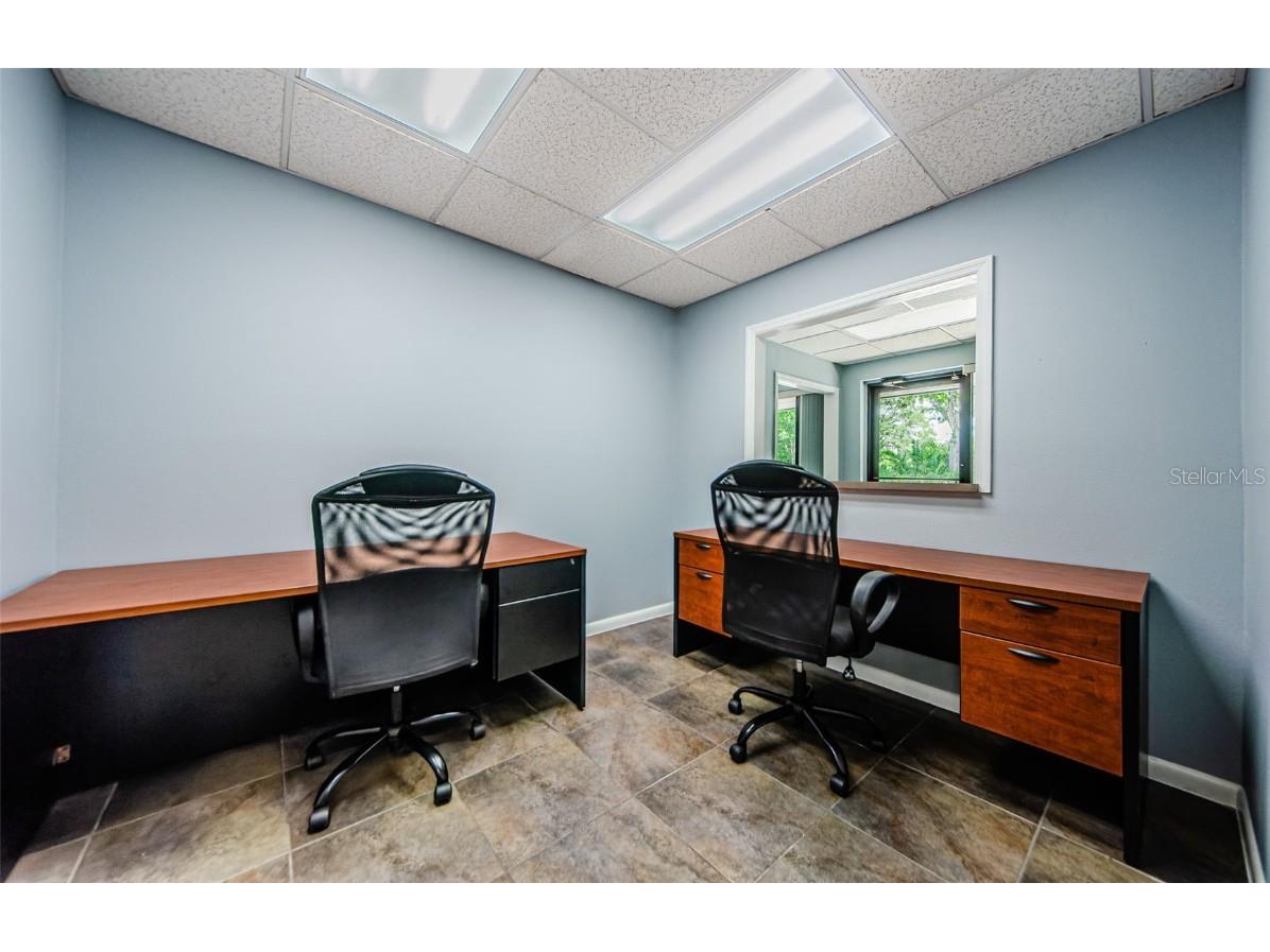 701 Enterprise Road E #300 Safety Harbor FL 34695 TB8380432 image9