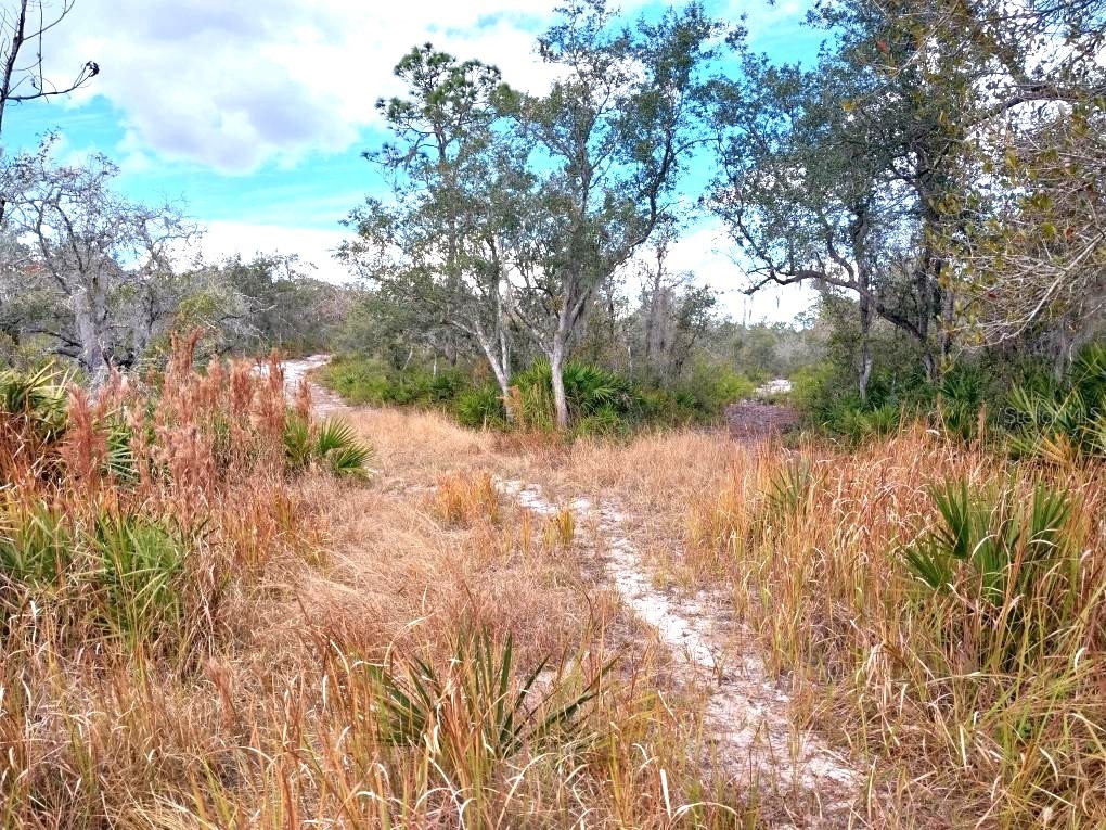 701 Gopher Trail Frostproof FL 33843 K4903239 image2