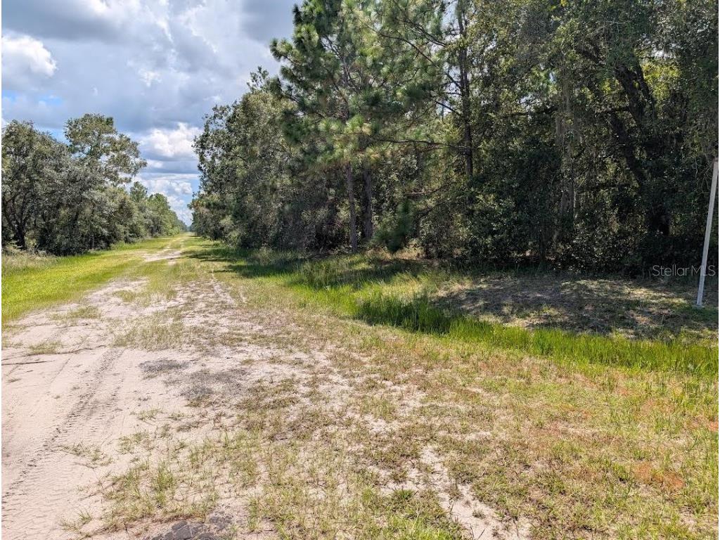 701 Indian Lake Drive Indian Lake Estates FL 33855 - LAKE WALK-IN-WATER TB8417738 image5