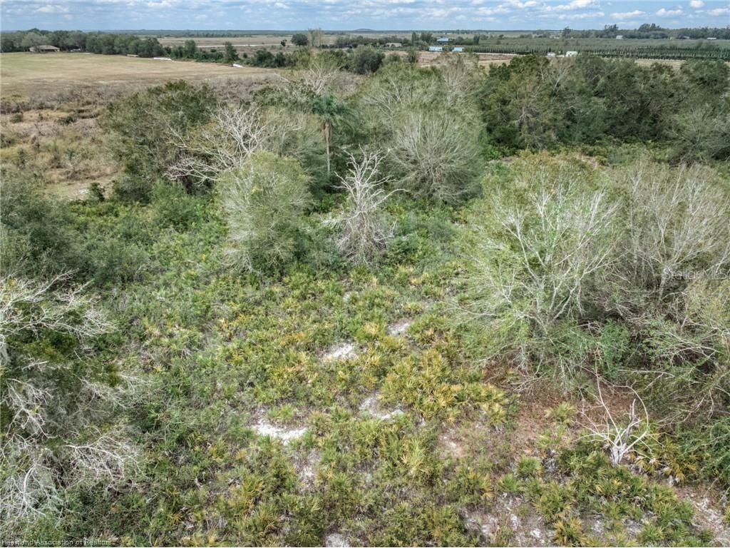 701 Jolly Lane Lorida FL 33857 P4937706 image9