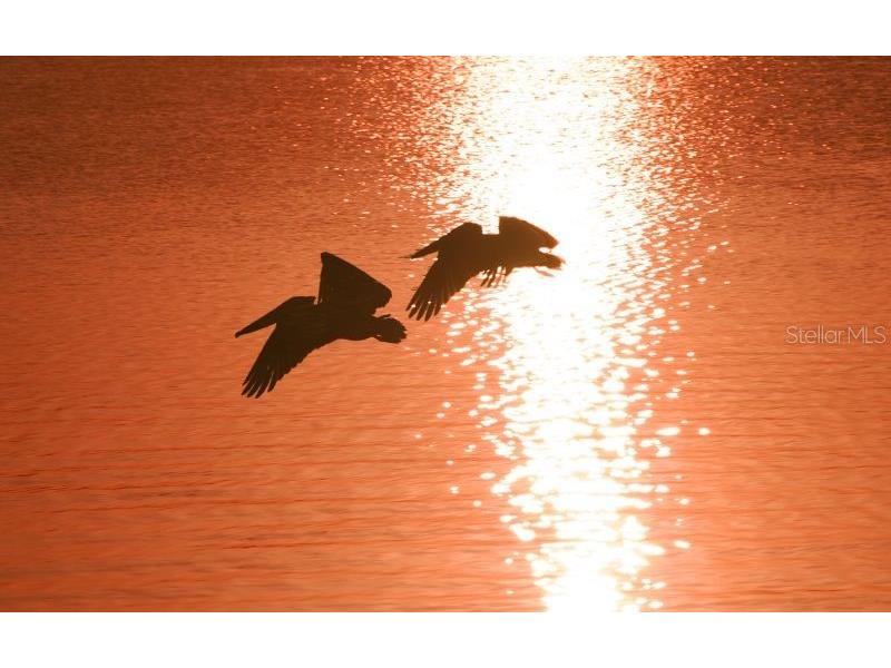 701 Marbury Lane Longboat Key FL 34228 A4657604 image73