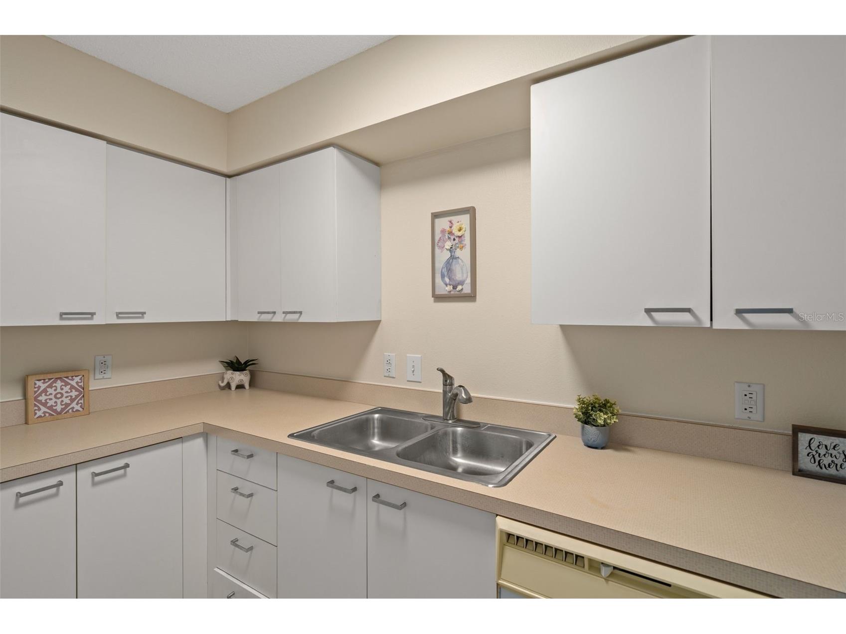 701 Mirror Lake Drive N #102 Saint Petersburg FL 33701 W7887347 image17