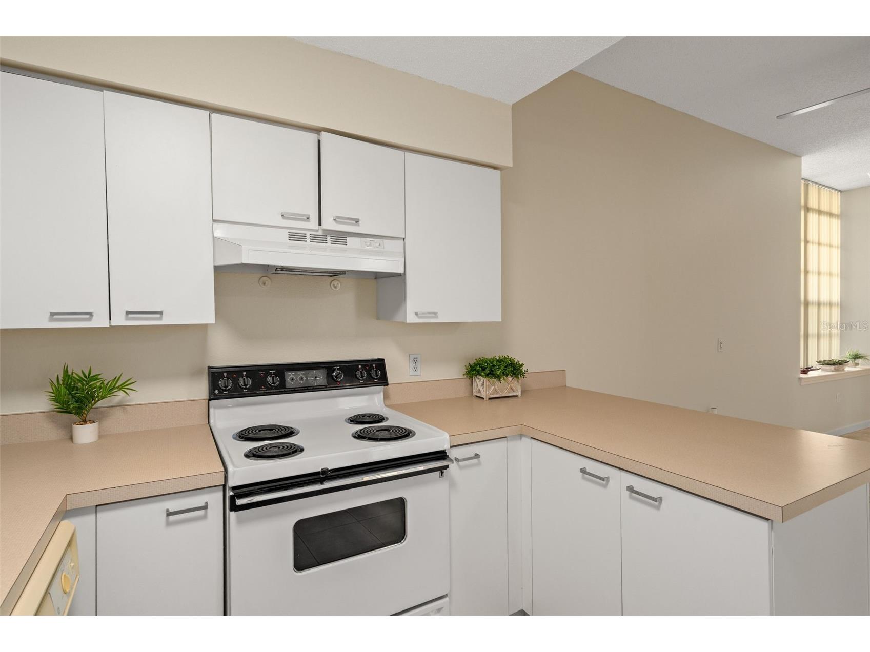 701 Mirror Lake Drive N #102 Saint Petersburg FL 33701 W7887347 image18