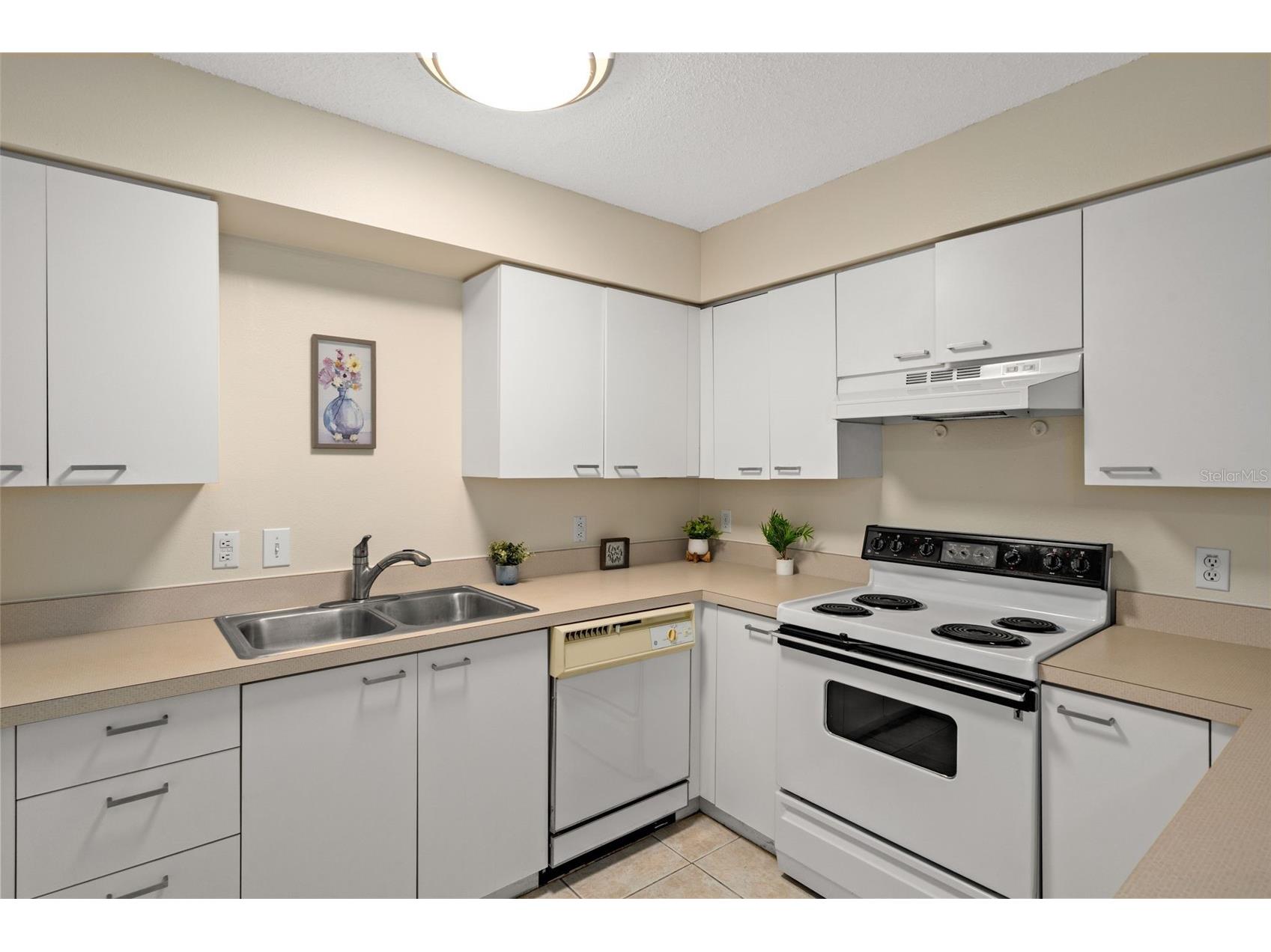 701 Mirror Lake Drive N #102 Saint Petersburg FL 33701 W7887347 image19