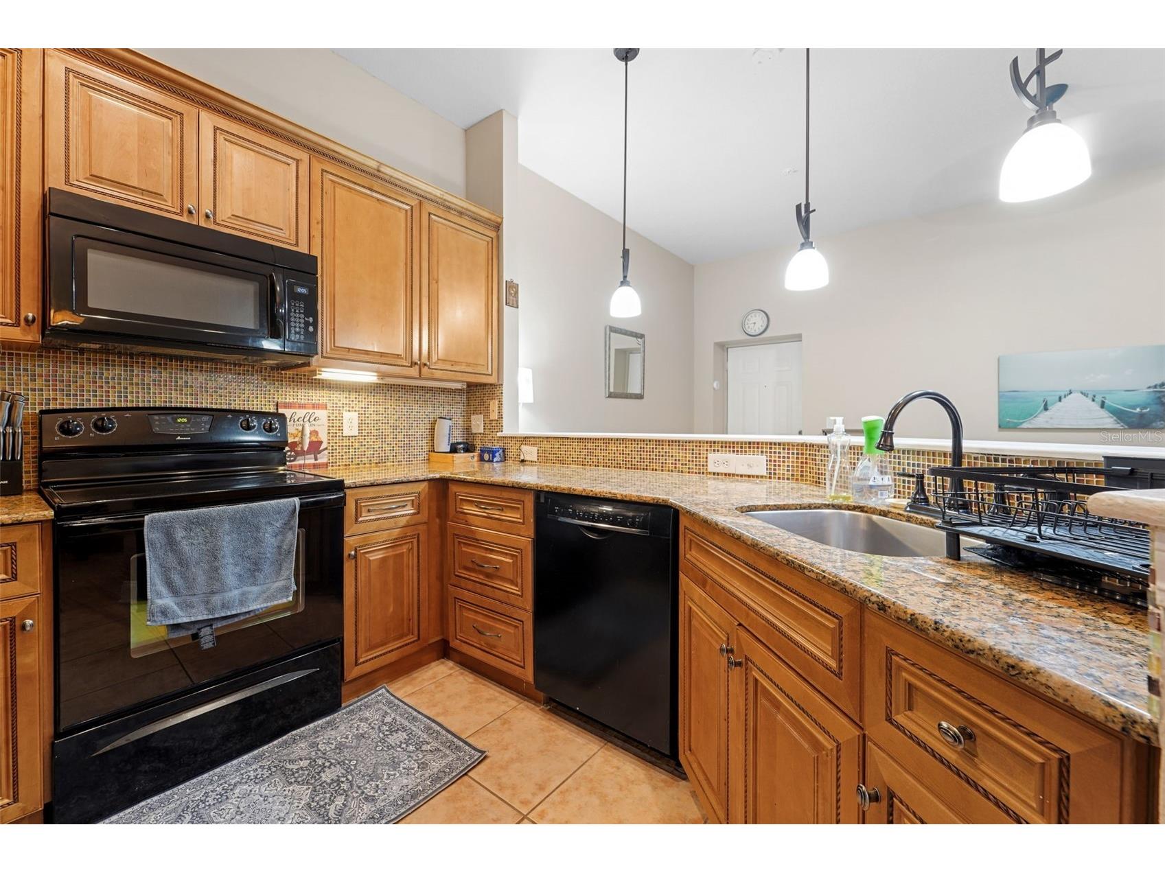 701 Mirror Lake Drive N #120 Saint Petersburg FL 33701 TB8480911 image7