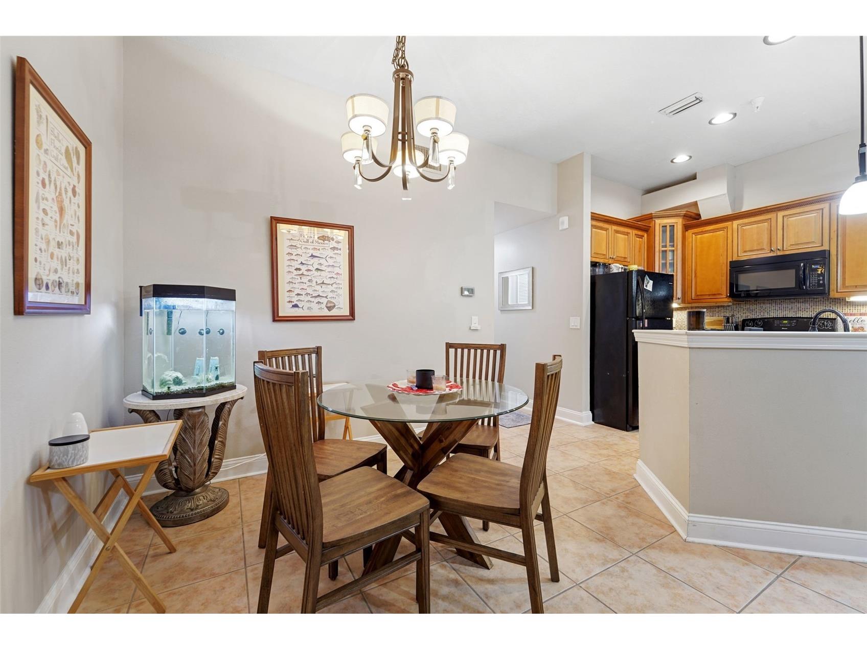 701 Mirror Lake Drive N #120 Saint Petersburg FL 33701 TB8518865 image8