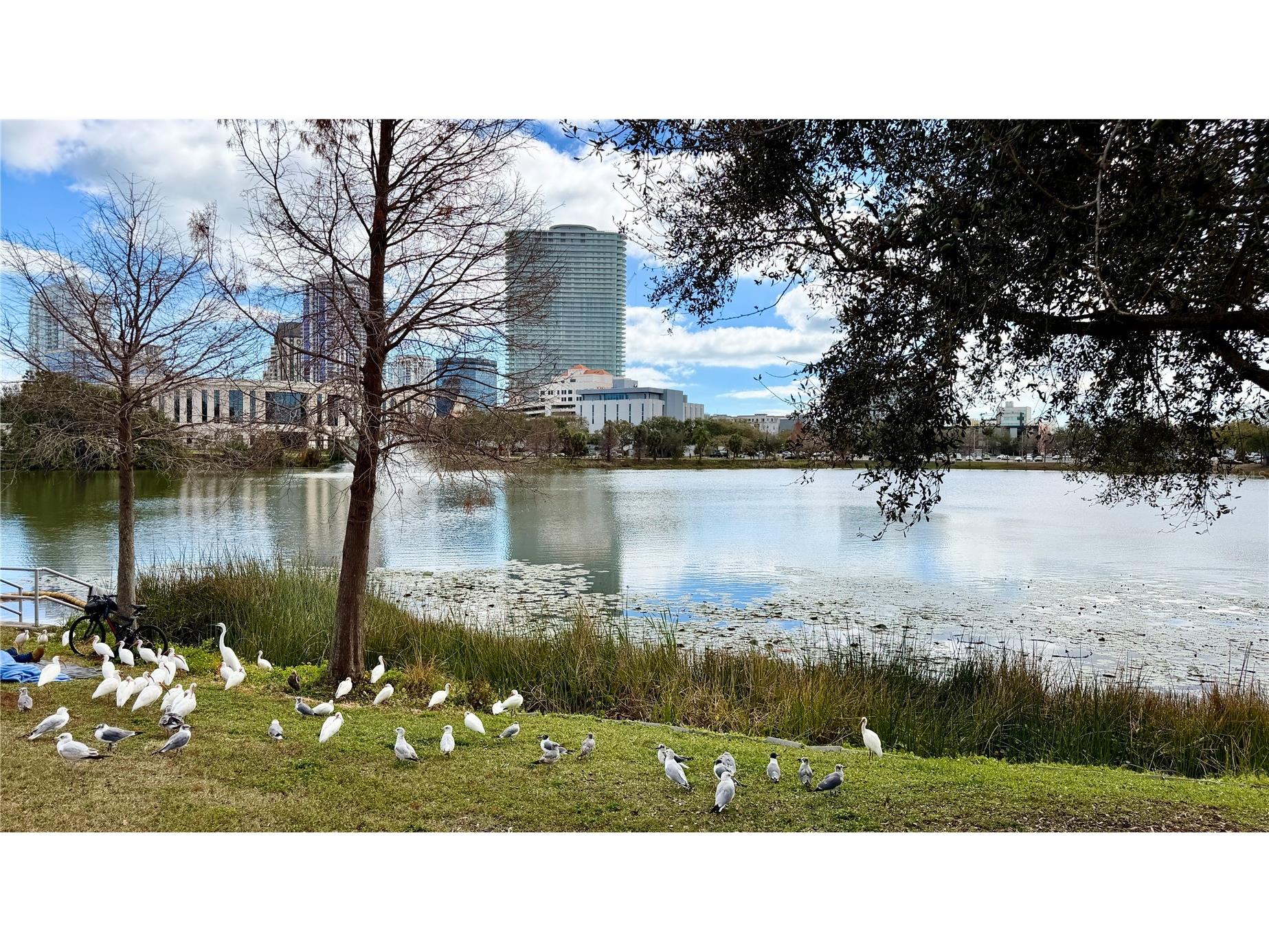 701 Mirror Lake Drive N #121 Saint Petersburg FL 33701 TB8476791 image43