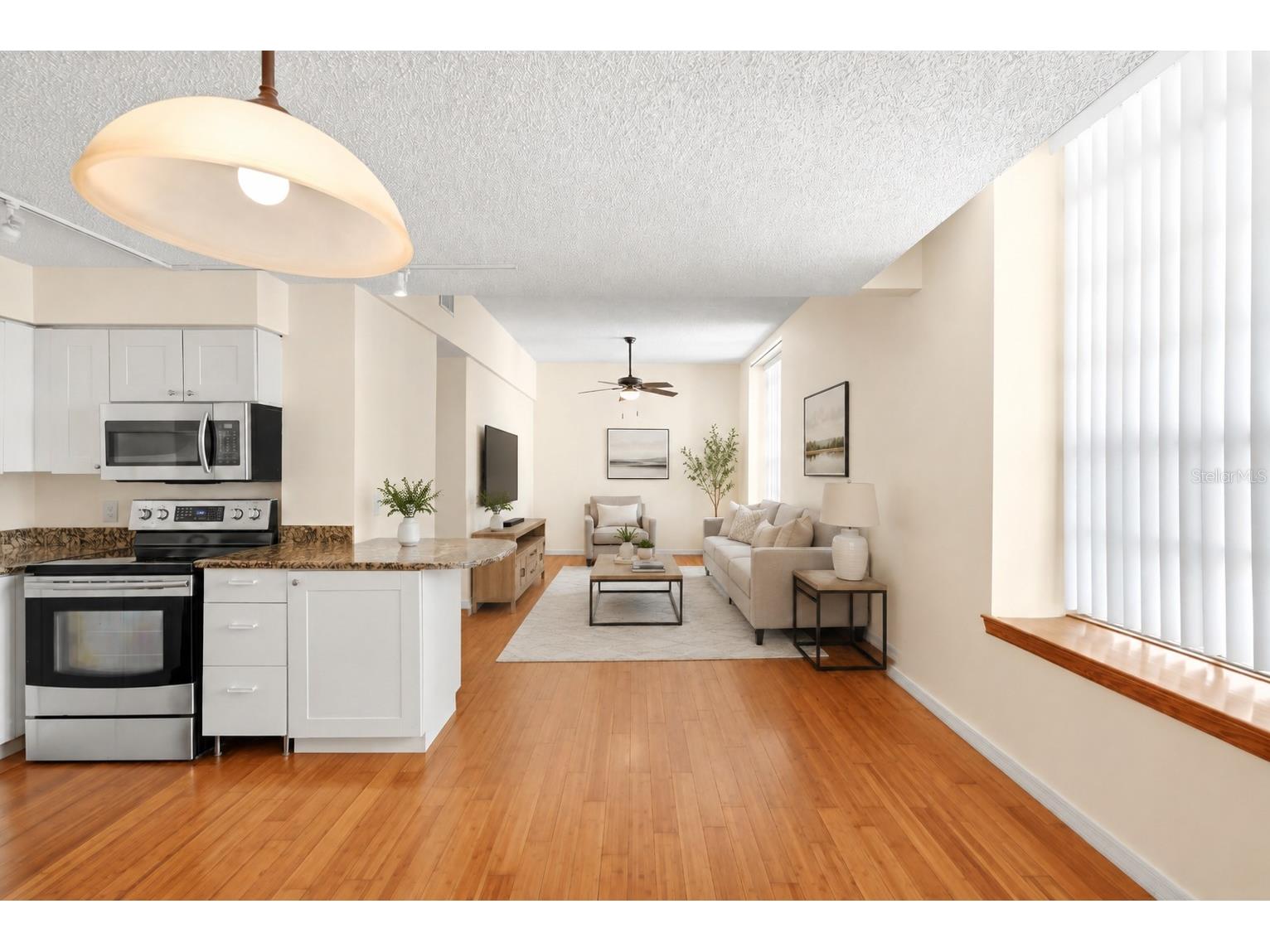 701 Mirror Lake Drive N #202 Saint Petersburg FL 33701 TB8520969 image10