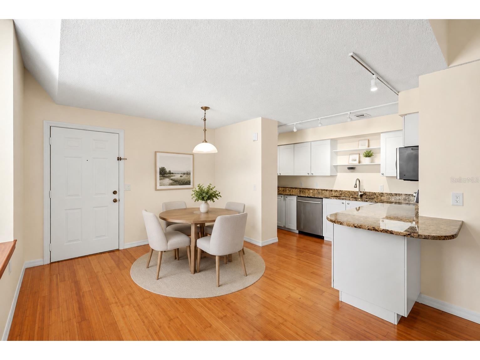 701 Mirror Lake Drive N #202 Saint Petersburg FL 33701 TB8520969 image12