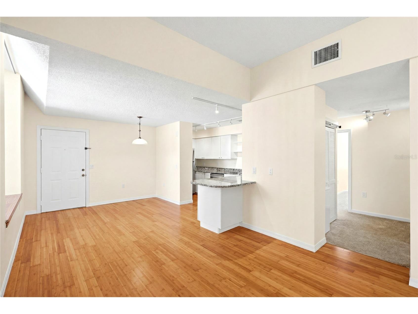 701 Mirror Lake Drive N #202 Saint Petersburg FL 33701 TB8520969 image14