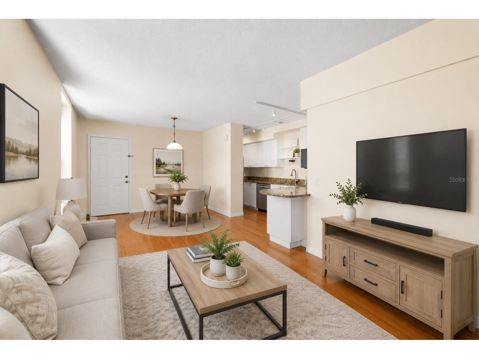701 Mirror Lake Drive N #202 Saint Petersburg FL 33701 TB8520969 image18