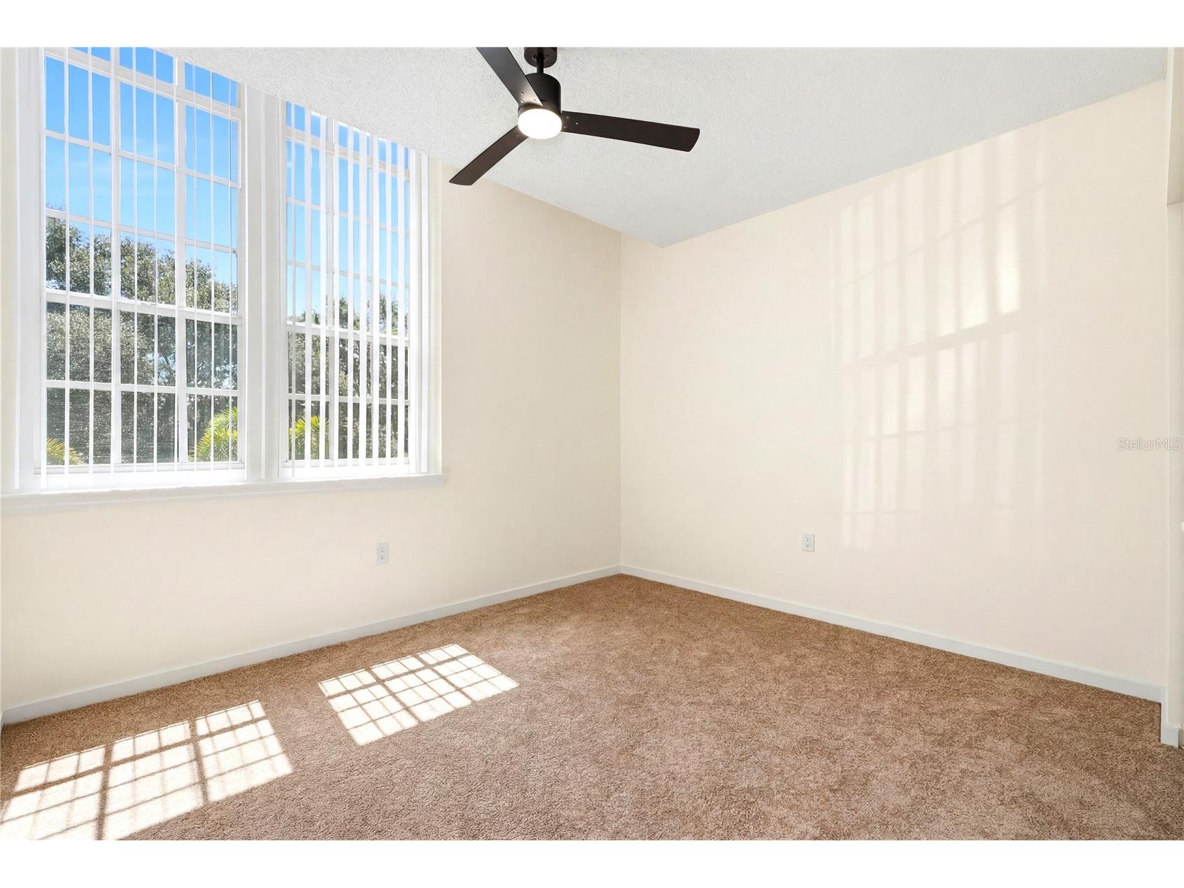 701 Mirror Lake Drive N #202 Saint Petersburg FL 33701 TB8520969 image33