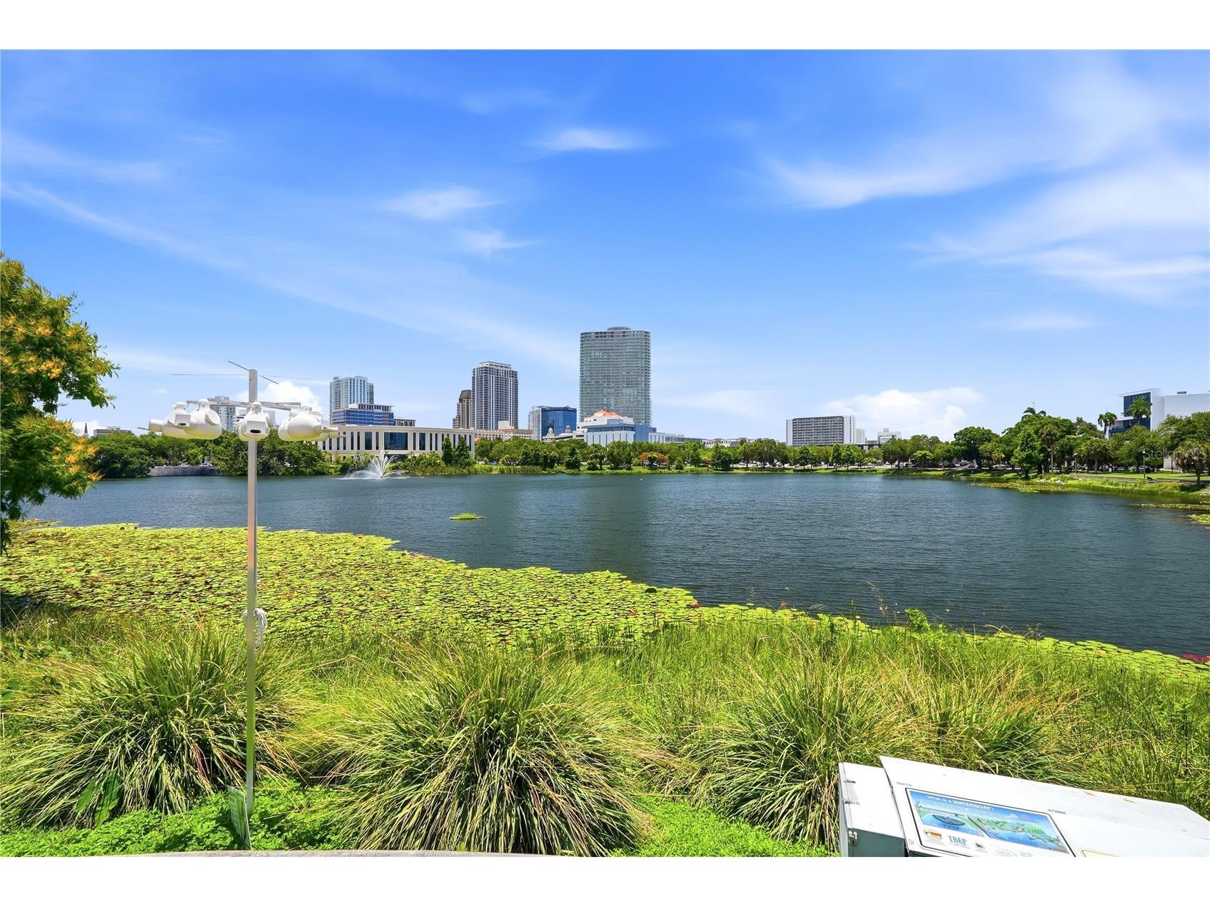 701 Mirror Lake Drive N #202 Saint Petersburg FL 33701 TB8520969 image43