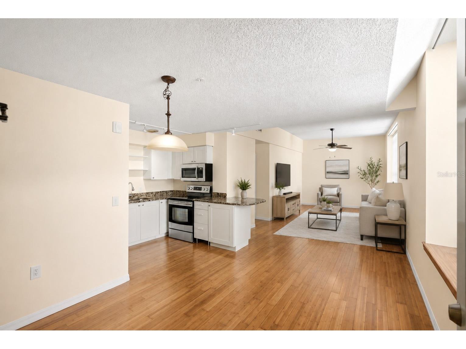 701 Mirror Lake Drive N #202 Saint Petersburg FL 33701 TB8520969 image8
