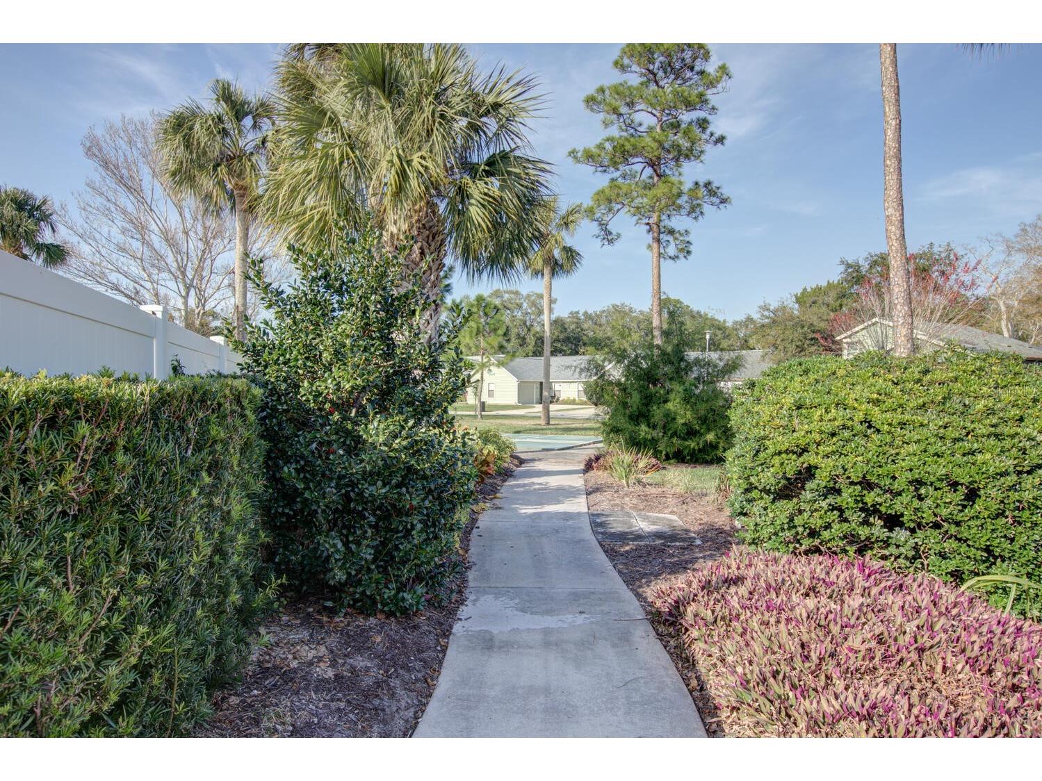 701 Pine Shores Circle New Smyrna Beach FL 32168 NS1087380 image51