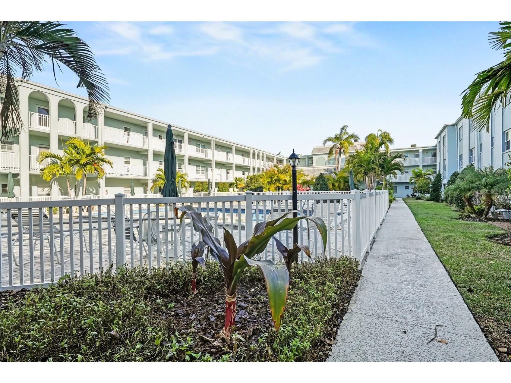 701 Poinsettia Road #240 Belleair FL 33756 TB8479781 image25