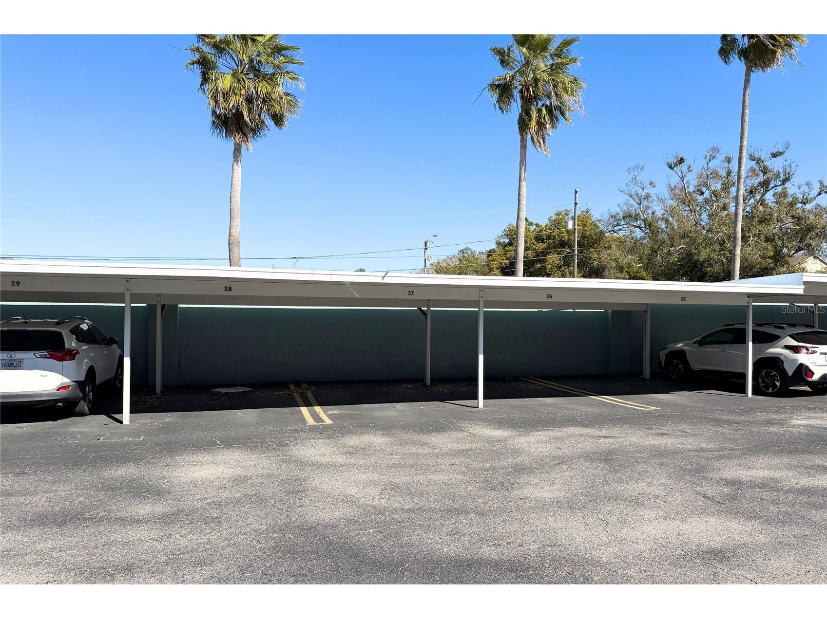 701 Poinsettia Road #340 Belleair FL 33756 TB8472735 image16