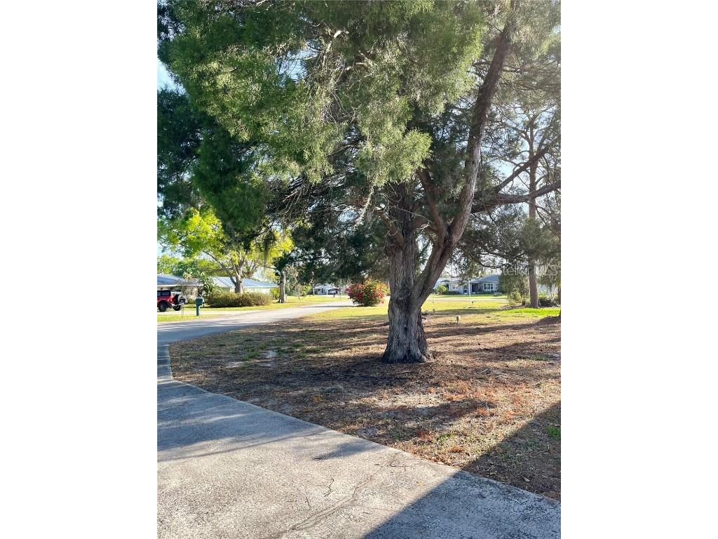 701 Roanoke Place Sebring FL 33870 C7519196 image4