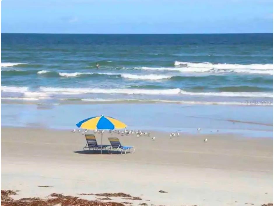 701 S Atlantic Avenue #520 Daytona Beach FL 32118 O6418551 image2