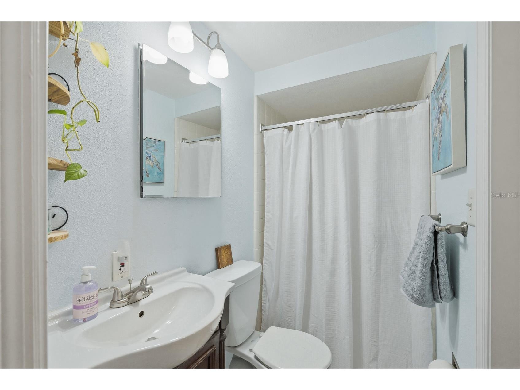 701 S Crest Avenue Clearwater FL 33756 TB8501793 image26