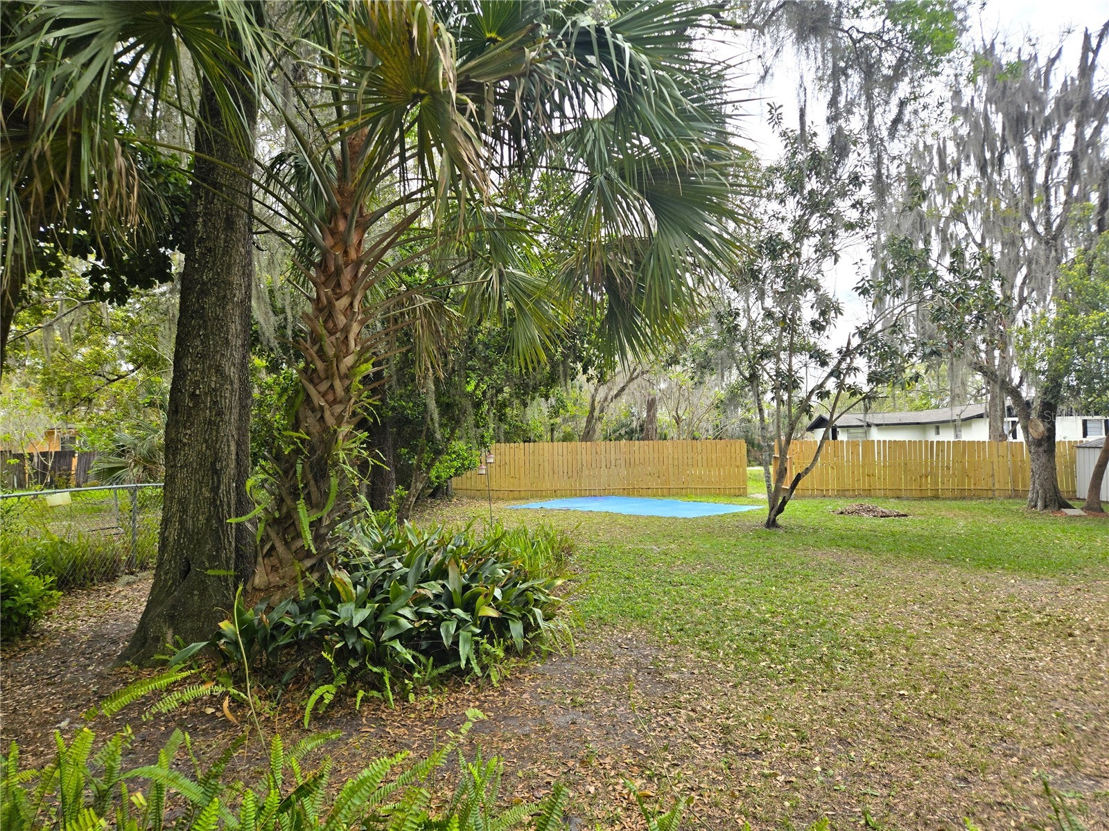 701 S Delaware Avenue Deland FL 32720 V4947907 image19