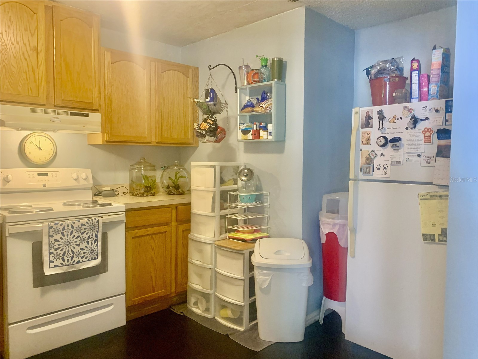 701 S Delaware Avenue Deland FL 32720 V4947907 image5