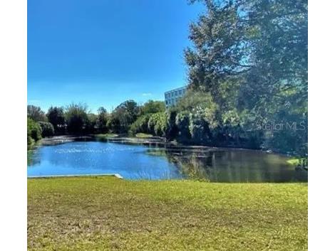 701 S Madison Avenue #106 Clearwater FL 33756 TB8471360 image1