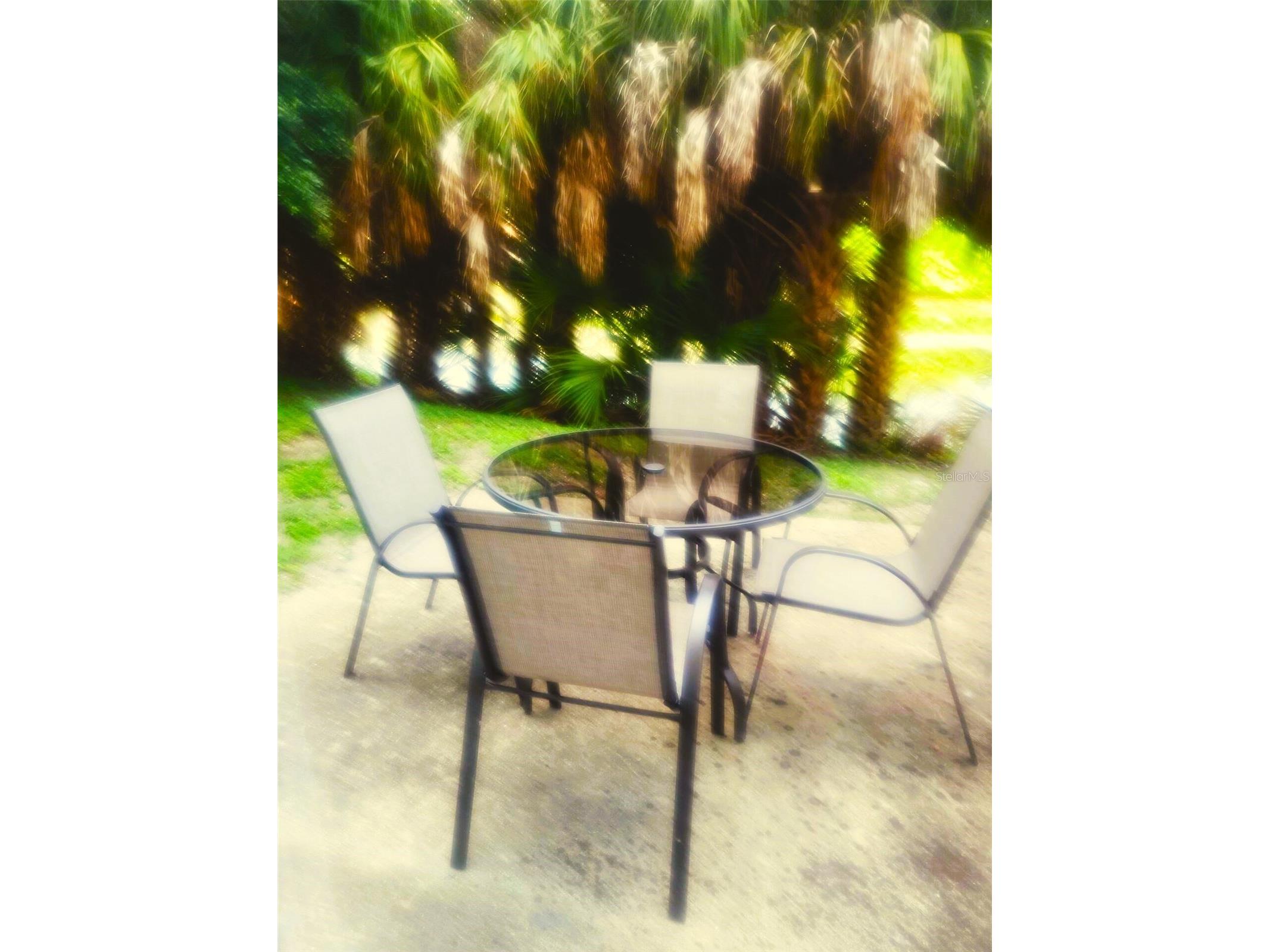 701 S Madison Avenue #106 Clearwater FL 33756 TB8471360 image18