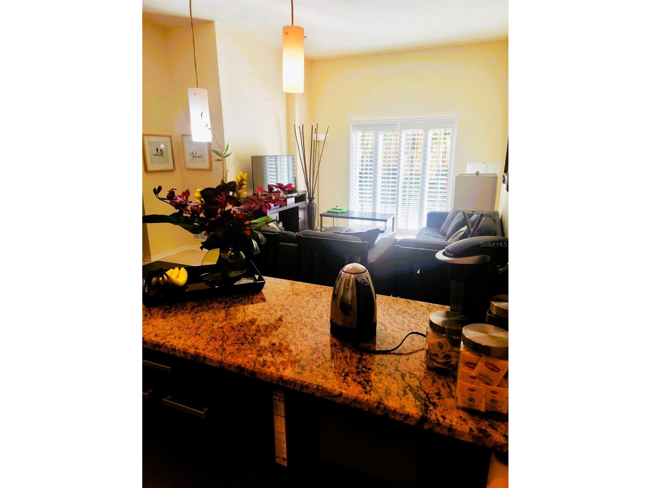 701 S Madison Avenue #106 Clearwater FL 33756 TB8471360 image4