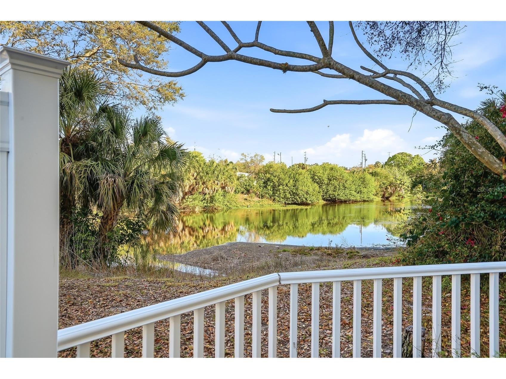 701 S Madison Avenue #116 Clearwater FL 33756 TB8483919 image36