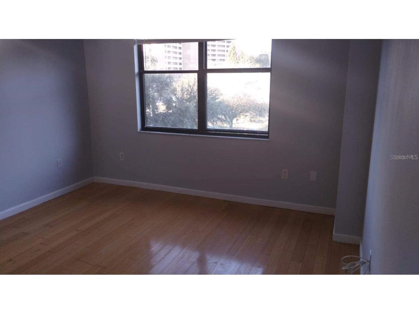 701 S Madison Avenue #215 Clearwater FL 33756 TB8443549 image13