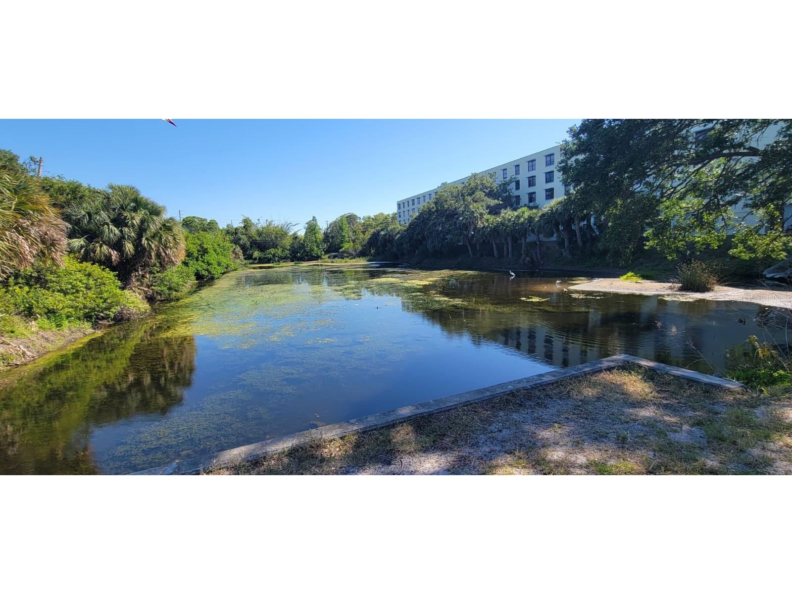 701 S Madison Avenue #316 Clearwater FL 33756 TB8375581 image13