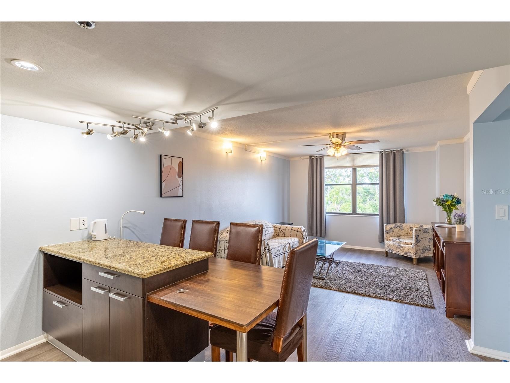 701 S Madison Avenue #401 Clearwater FL 33756 TB8468329 image14