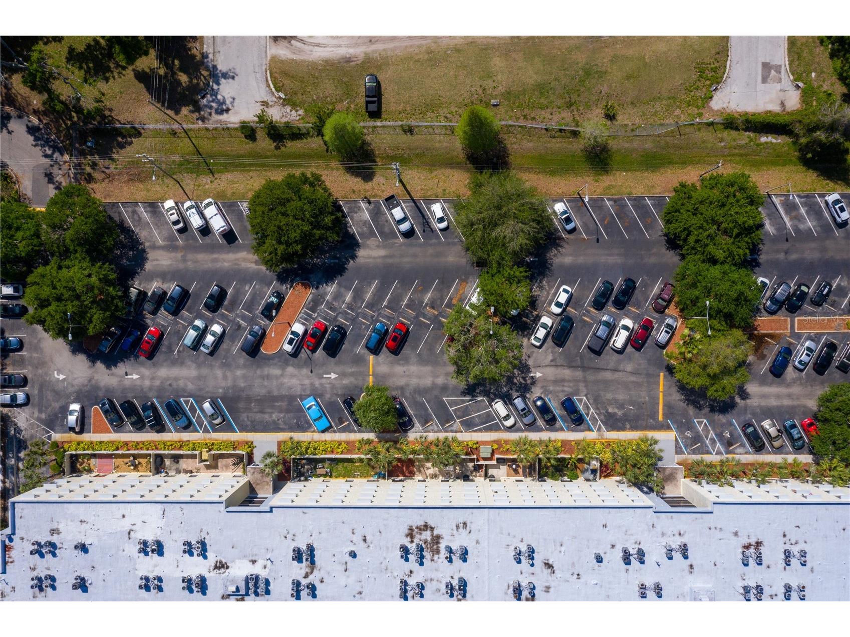 701 S Madison Avenue #401 Clearwater FL 33756 TB8468329 image3