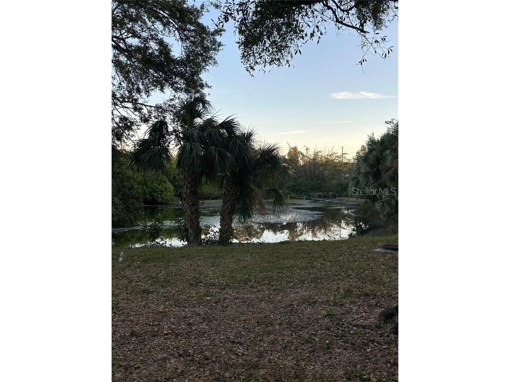 701 S Madison Avenue #410 Clearwater FL 33756 TB8394476 image16