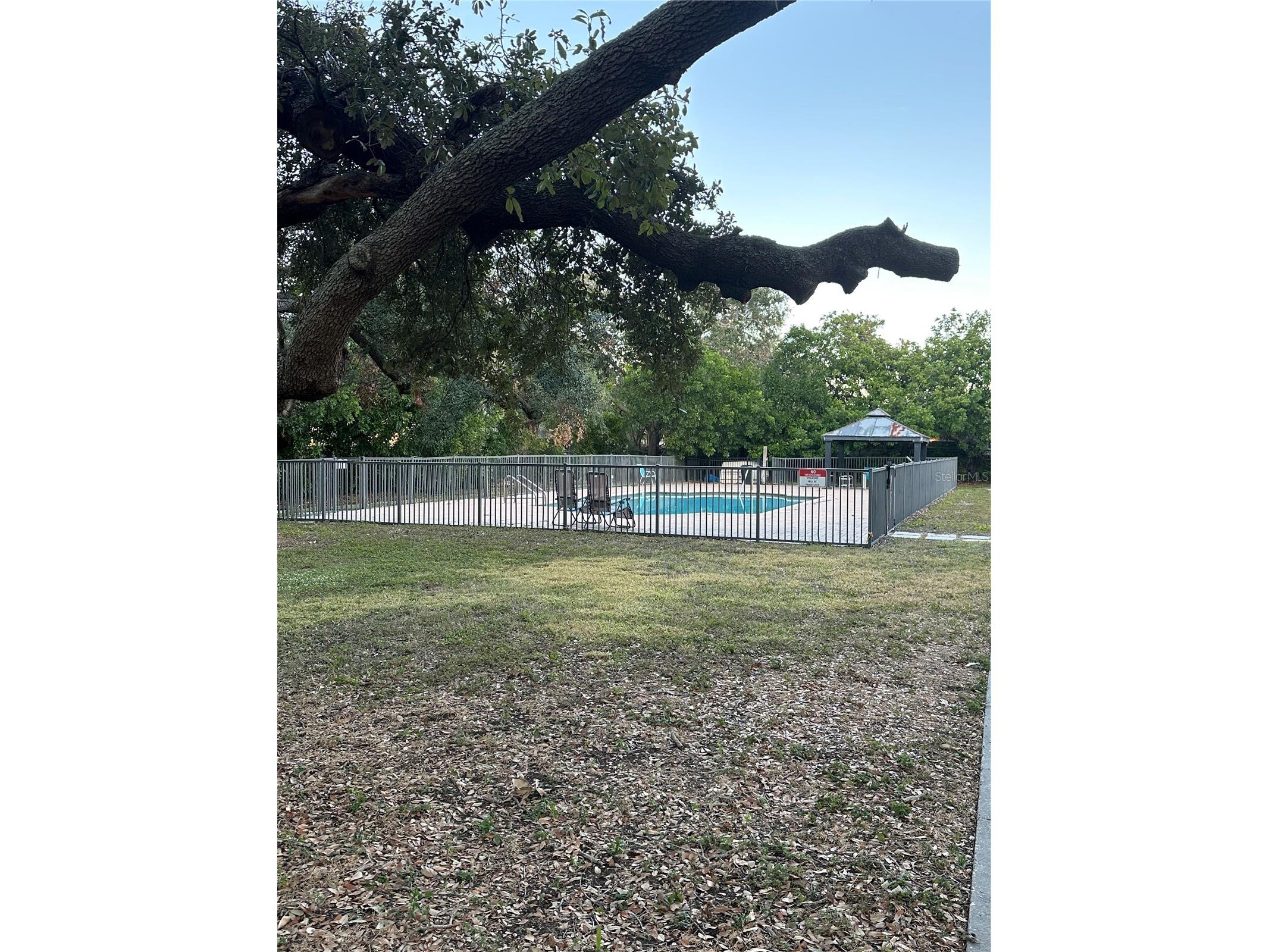 701 S Madison Avenue #410 Clearwater FL 33756 TB8394476 image21
