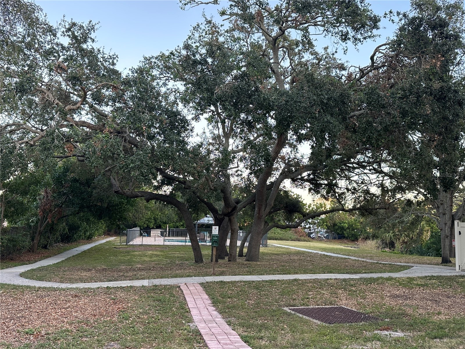 701 S Madison Avenue #410 Clearwater FL 33756 TB8394476 image22