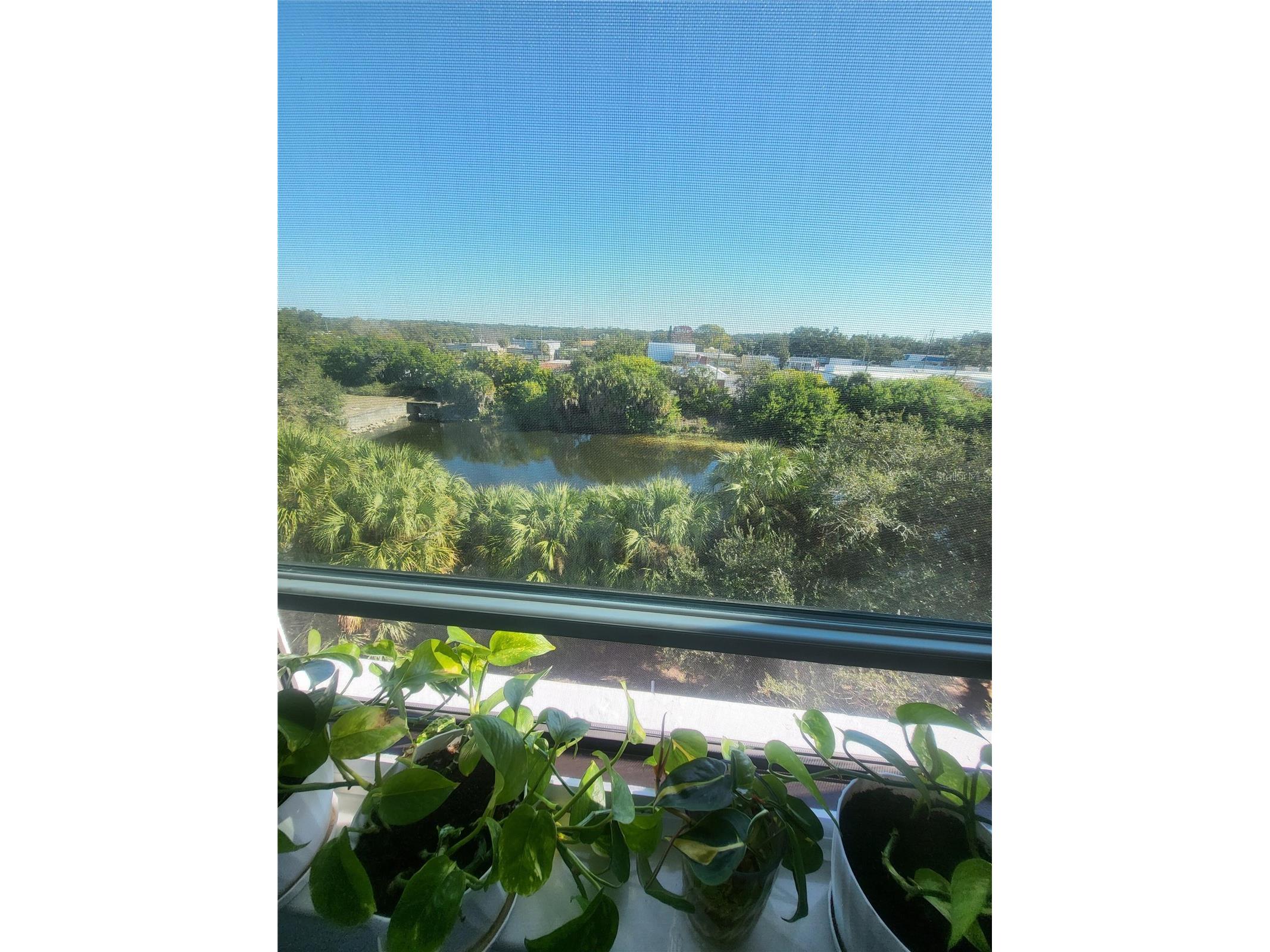 701 S Madison Avenue #414 Clearwater FL 33756 O6378603 image19