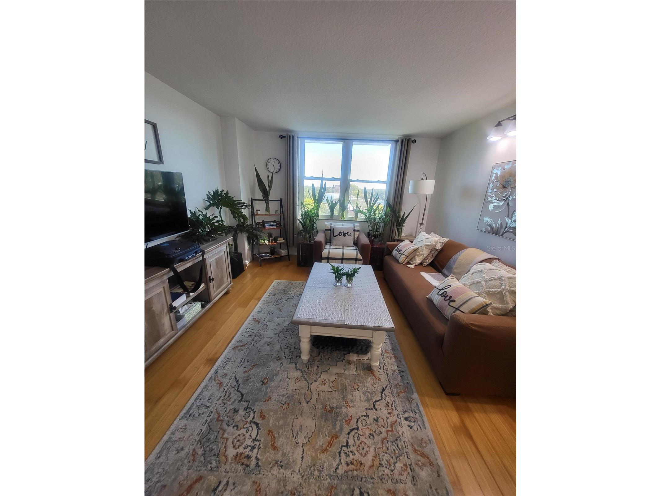 701 S Madison Avenue #414 Clearwater FL 33756 O6378603 image2