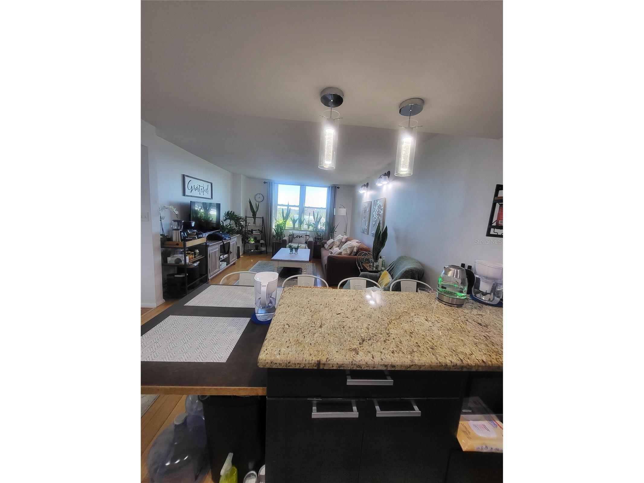 701 S Madison Avenue #414 Clearwater FL 33756 O6378603 image3