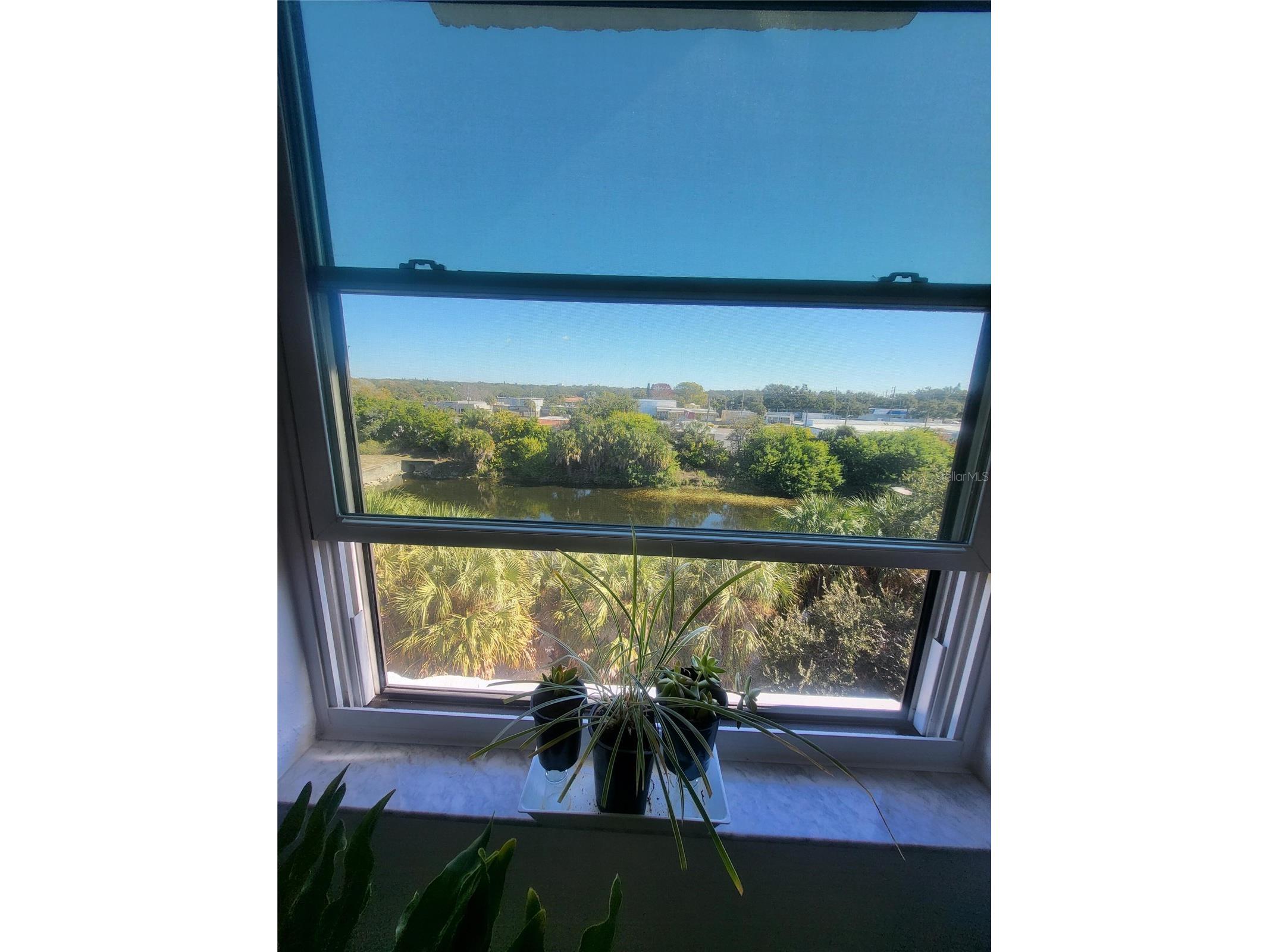 701 S Madison Avenue #414 Clearwater FL 33756 O6378603 image9