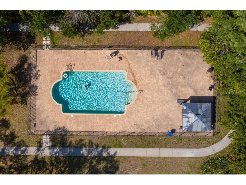 701 S Madison Avenue #421 Clearwater FL 33756 TB8464838 image20