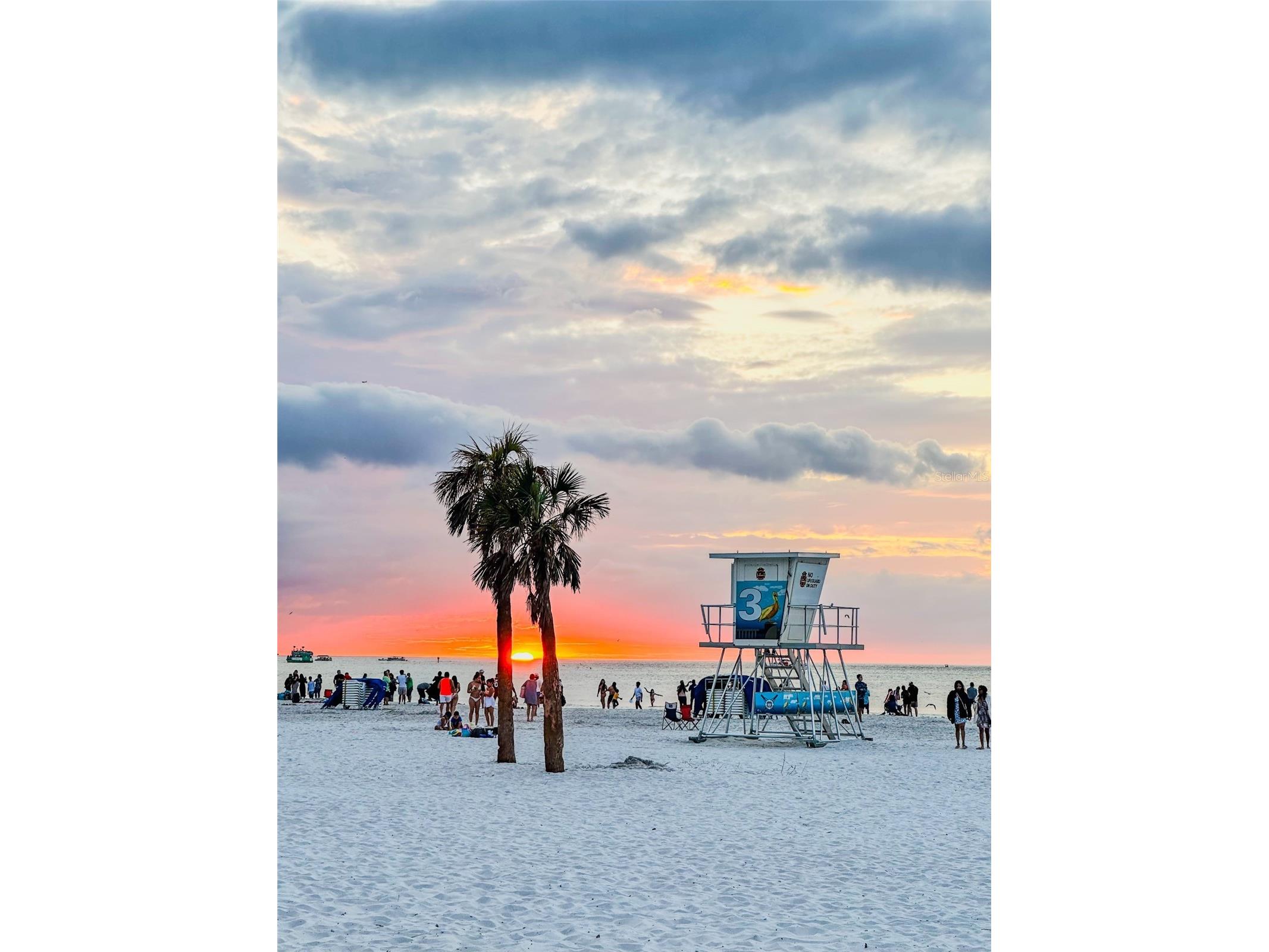 701 S Madison Avenue #421 Clearwater FL 33756 TB8464838 image22