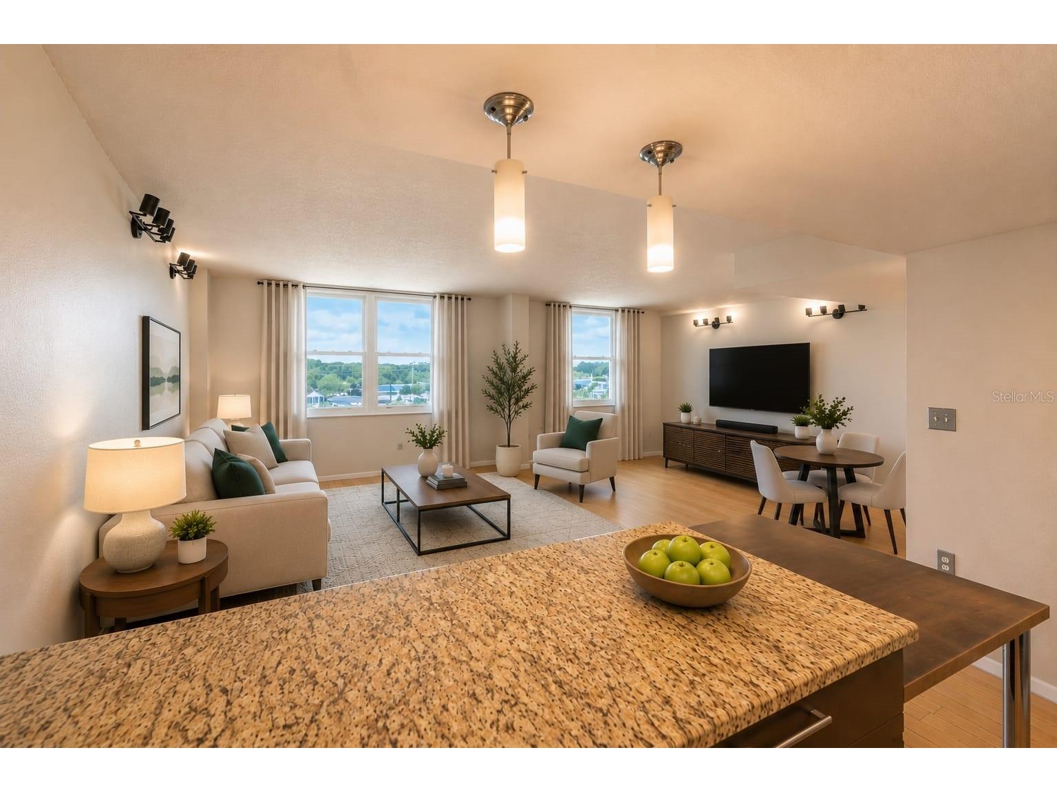 701 S Madison Avenue #502 Clearwater FL 33756 TB8520631 image2