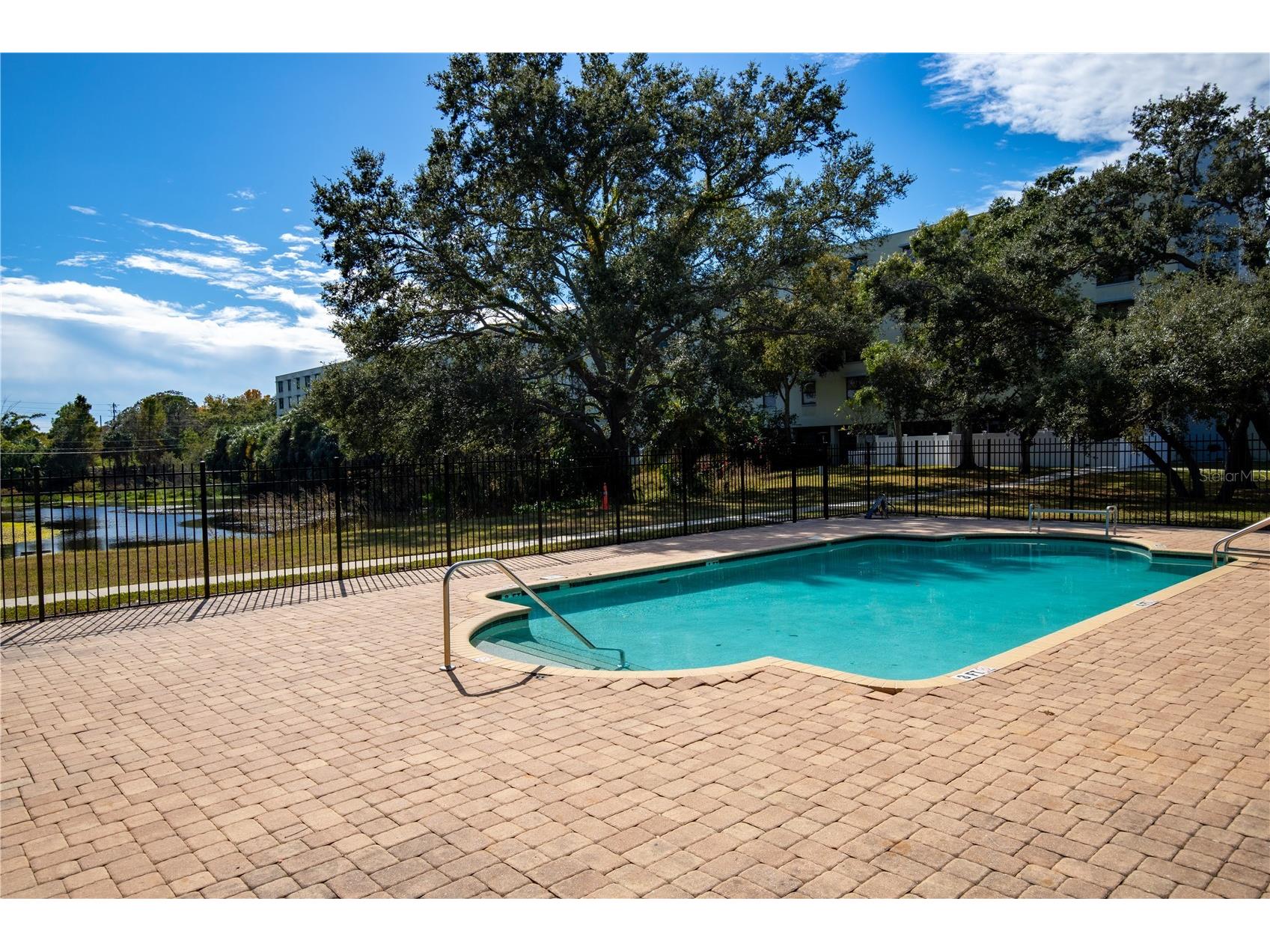 701 S Madison Avenue #502 Clearwater FL 33756 TB8520631 image23